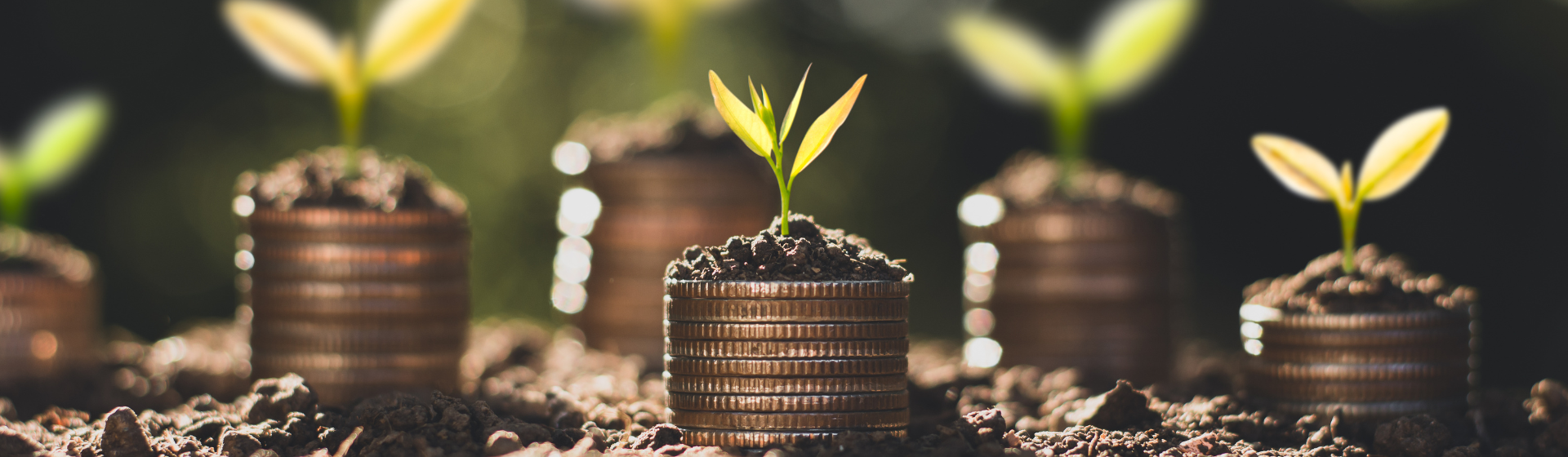 The coins are stacked on the ground and the seedlings are growing on top, the concept of saving money and financial growth.